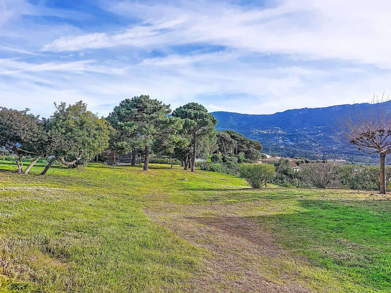 Maisonnette Terra Tramandera in Tiuccia, Calcatoggio