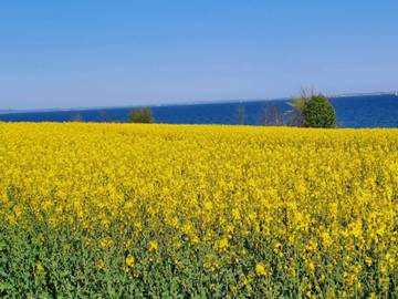 Ferieudlejning til 8 Personer i Sydals, Mommark, Billede 1