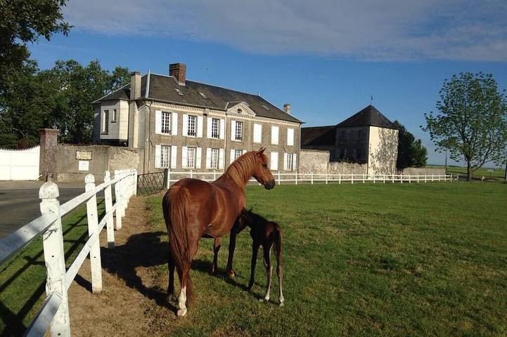 Gîte pour 5 personnes, avec jardin à May-en-Multien