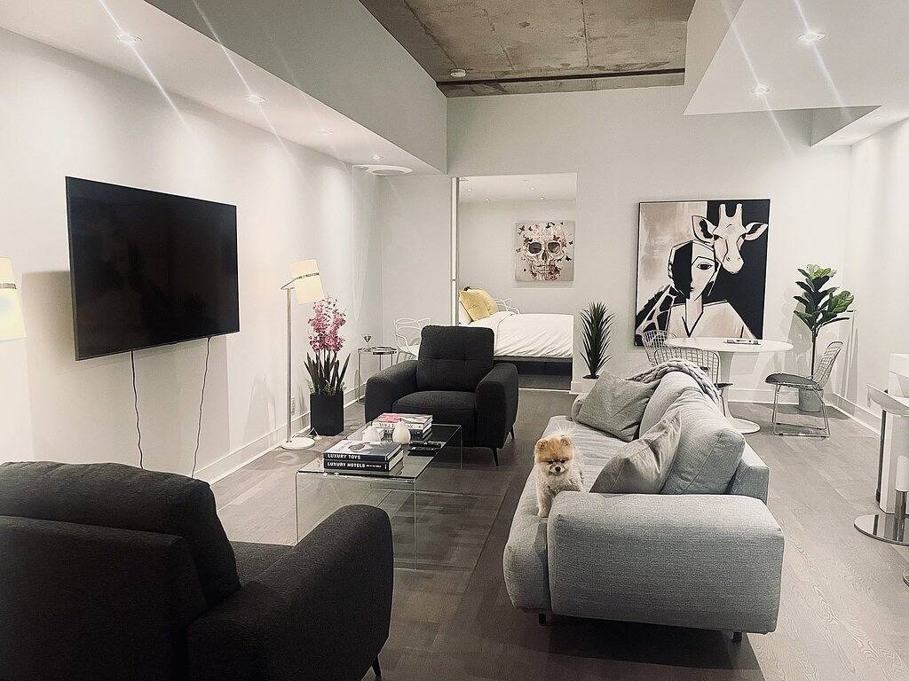 Entire apartment, 100% Walk Score! New Large, High Ceilings, Designer Luxury Open Style Live/Work! in Toronto, Lake Ontario (Canada)