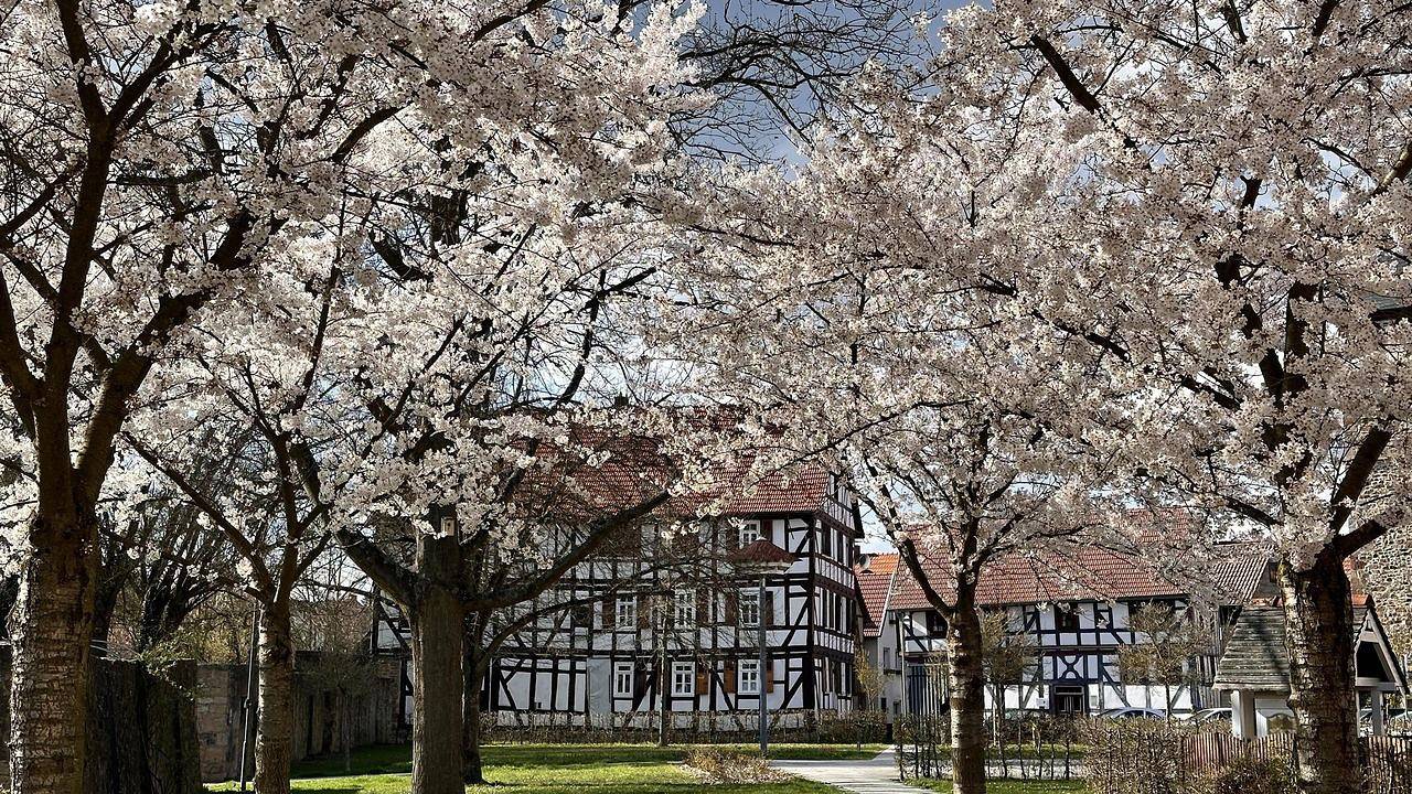 Geheel vakantieappartement, Ferienwohnung für 5 Personen (82 m²) in Neustadt in Hessen in Neustadt, Waldecker Land