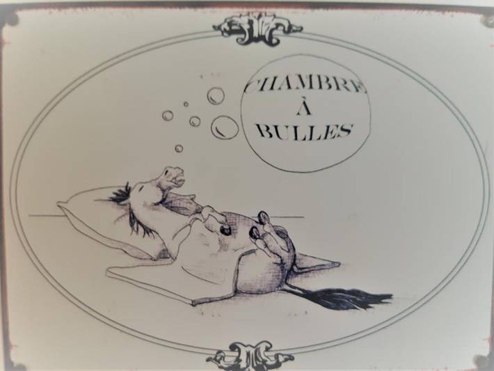 Maison d’hôte pour 2 personnes, avec jardin et vue dans Lac de Biscarrosse - 2