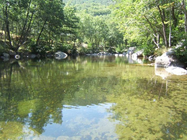 Gîte pour 4 personnes, avec jardin ainsi que vue et piscine à Dourbies - 4