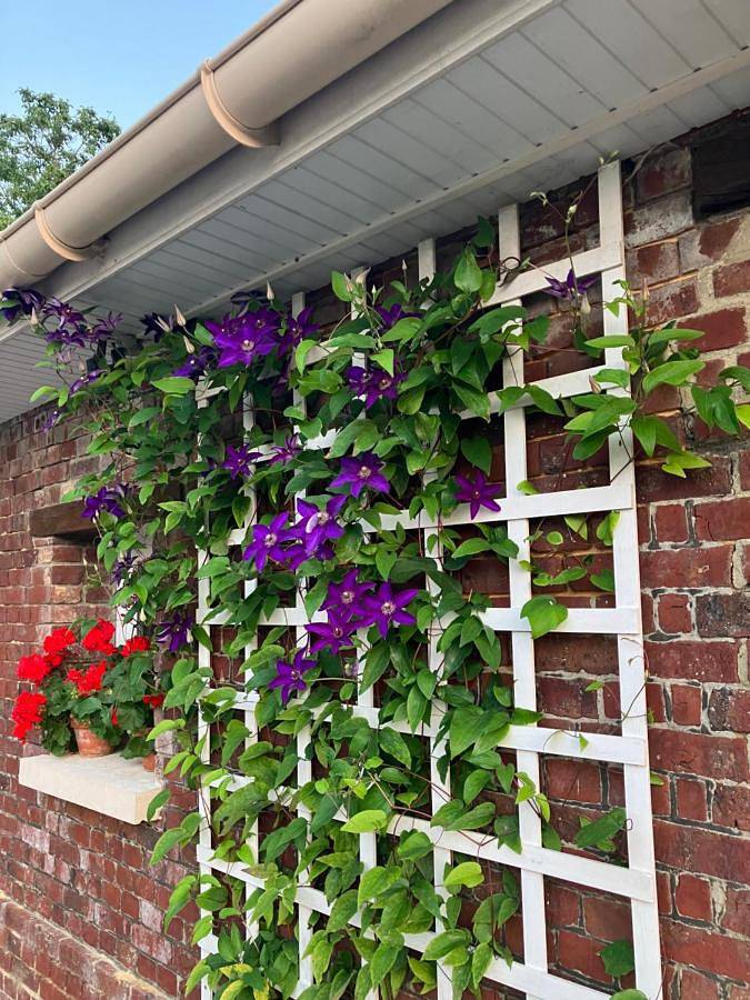 Gîte pour 2 personnes, avec vue et jardin dans Saint-Maclou-de-Folleville - 3