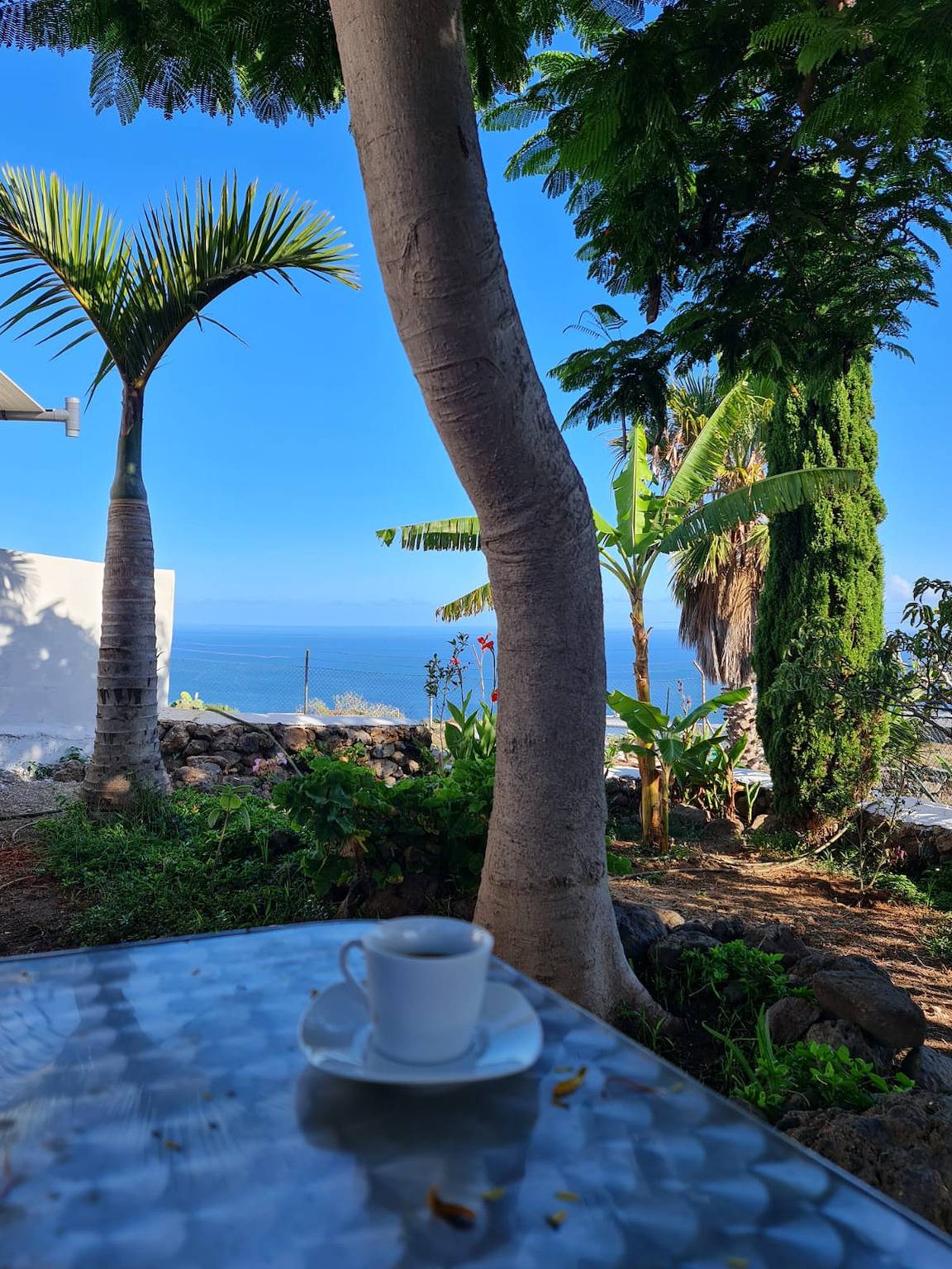 Villa Drago in Tagoro, Tacoronte