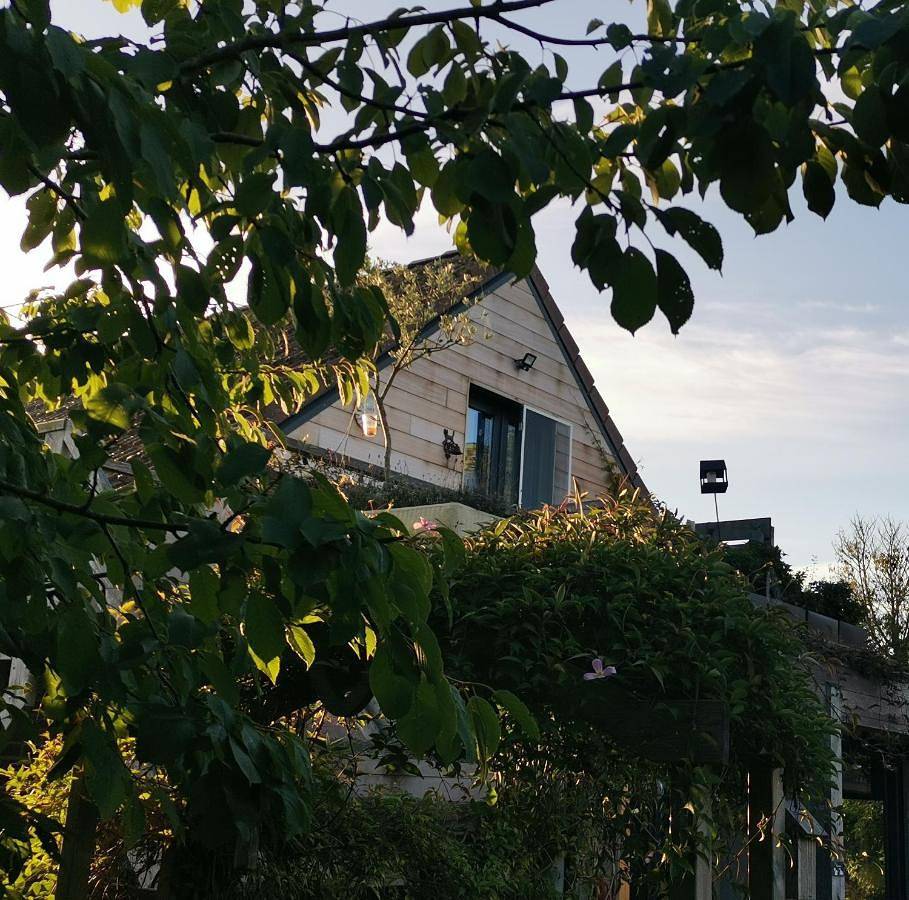 Entre monts et collines B&B et spa en option in Mont-de-l'Enclus, Hainaut