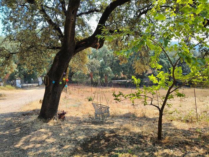 Casa rural para 4 personas, con jardín además de vistas y piscina, Se admiten mascotas en Almonaster la Real