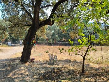 Casa de vacaciones para 4 personas, con piscina además de jardín y vistas, Se admiten mascotas en Sierra de Huelva