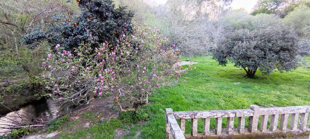 Gîte pour 4 personnes, avec vue et jardin à Gondomar - 2