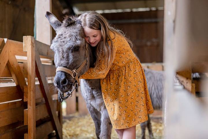 Bauernhof für 6 Personen, mit Sauna und Pool sowie Garten am Mittelrhein - 3
