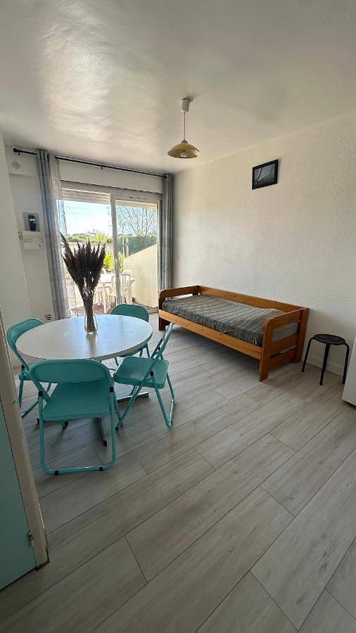 Gîte pour 4 personnes, avec jardin et piscine dans la Tamarissière - 3