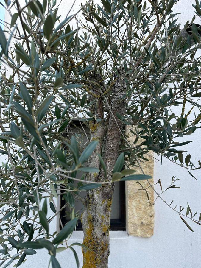 Gîte pour 2 personnes, avec vue ainsi que jardin et terrasse dans Bac du sauvage - 2