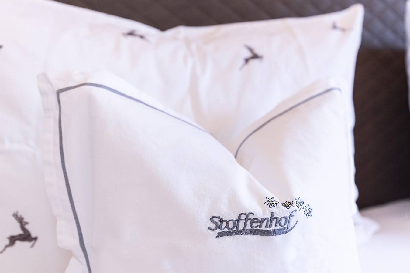 Entire holiday apartment, Appartement 3 - Bauernhaus in Alpbach, Kaiser mountains