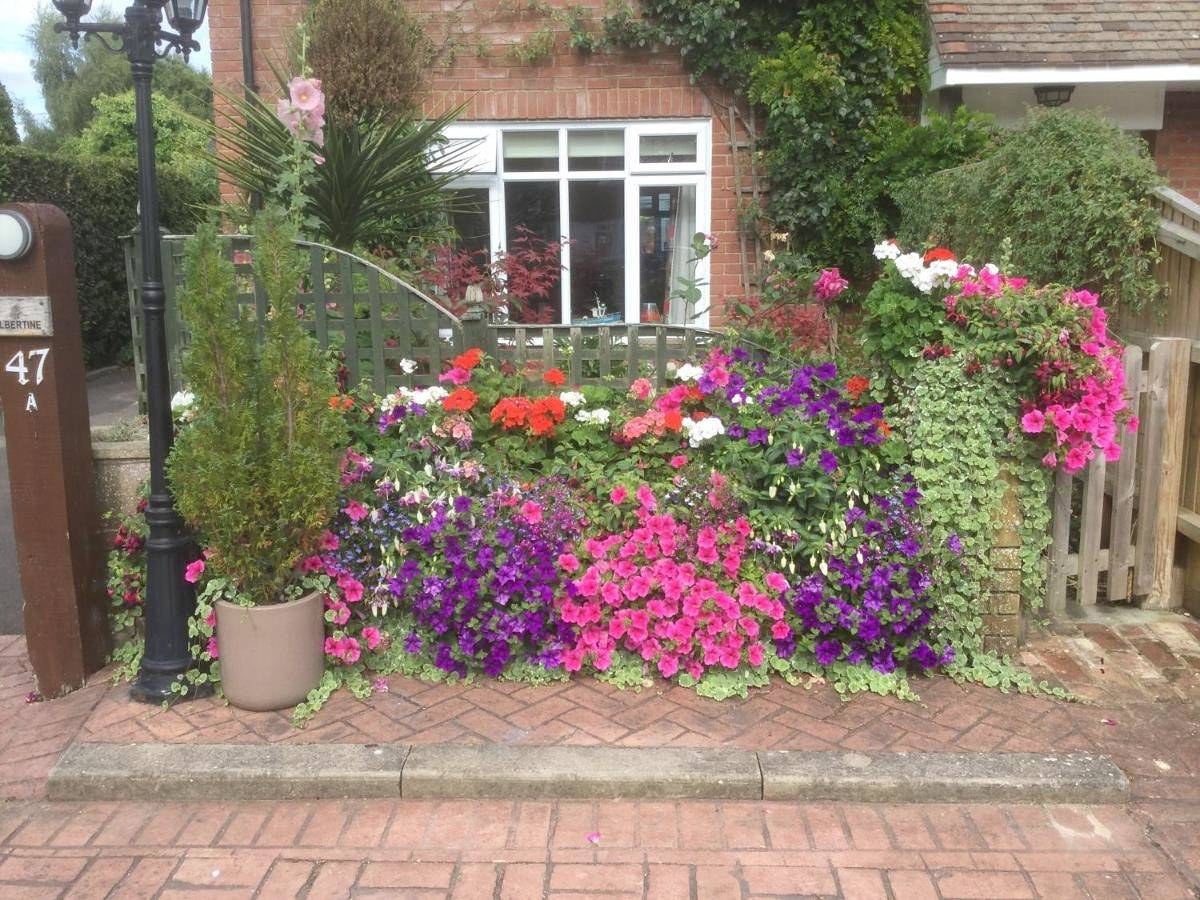 Albertine ,A warm welcome awaits you ,Offering en-suite room only accommodation,Ideal location for Solent Way ,High Street ,Isle of Wight ,New Forest in Lymington, Hampshire