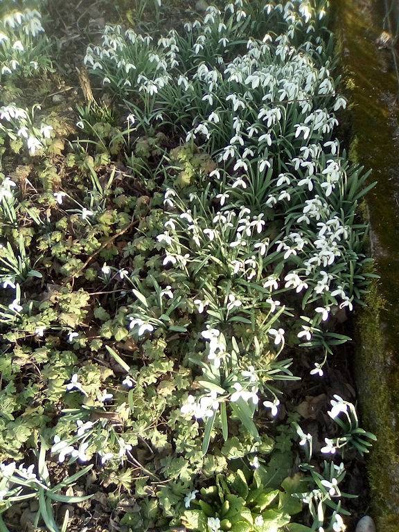 Gîte pour 5 personnes, avec jardin et terrasse dans Xertigny - 3