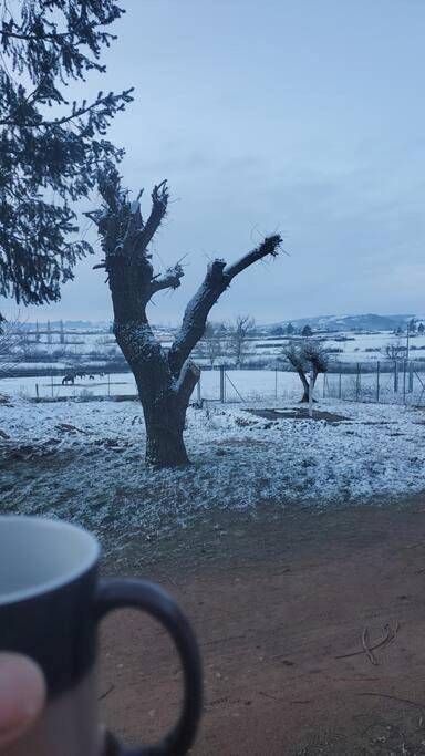 Location de vacances pour 4 personnes, avec jardin ainsi que sauna et vue, animaux acceptés à Saint-Jean-Saint-Maurice-sur-Loire - 2