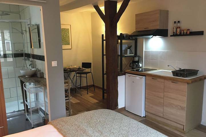 Ganze Wohnung, Studio Apartment - Downtown Saint-Aignan - 5 minutes from Beauval Zoo in Saint-Aignan, Romorantin-Lanthenay und Umgebung