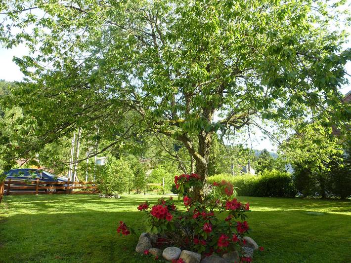 Gîte pour 8 personnes, avec terrasse et jardin dans La Bresse-Hohneck - 3