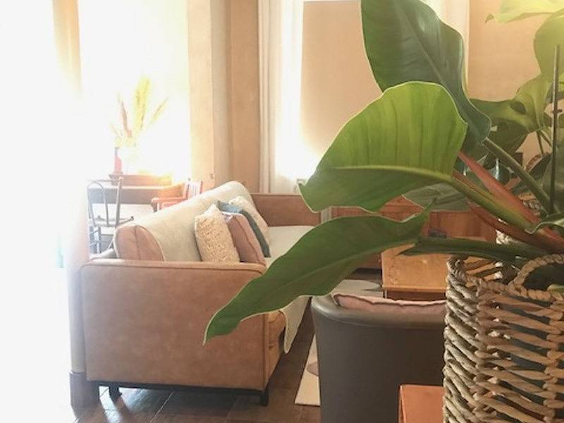 Groepsaccommodatie in Baarle Hertog in Baarle-Hertog, Antwerpen en omgeving