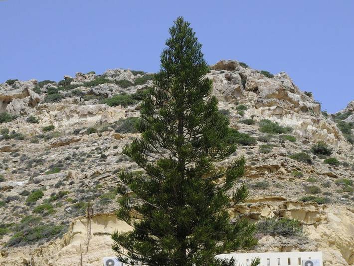 Location de vacances pour 2 personnes, avec terrasse, animaux acceptés dans Matala - 3