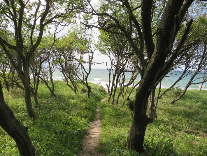 Ferienwohnung für 5 Personen, mit Balkon und Ausblick, kinderfreundlich in Rostock und Umgebung - 4