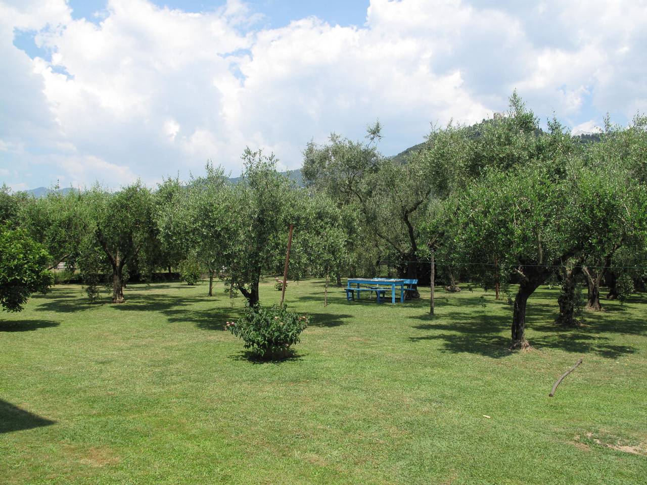 Ganze Wohnung, Wilma in Montignoso, Italienische Riviera