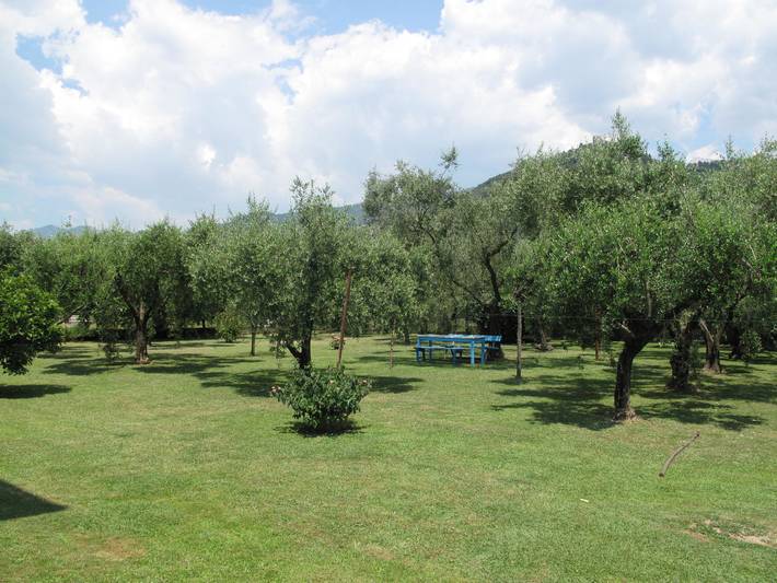 Appartamento intero, Wilma in Montignoso, Riviera Toscana