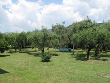 Appartamento Vacanze per 8 Persone in Montignoso, Parco Regionale delle Alpi Apuane, Foto 2