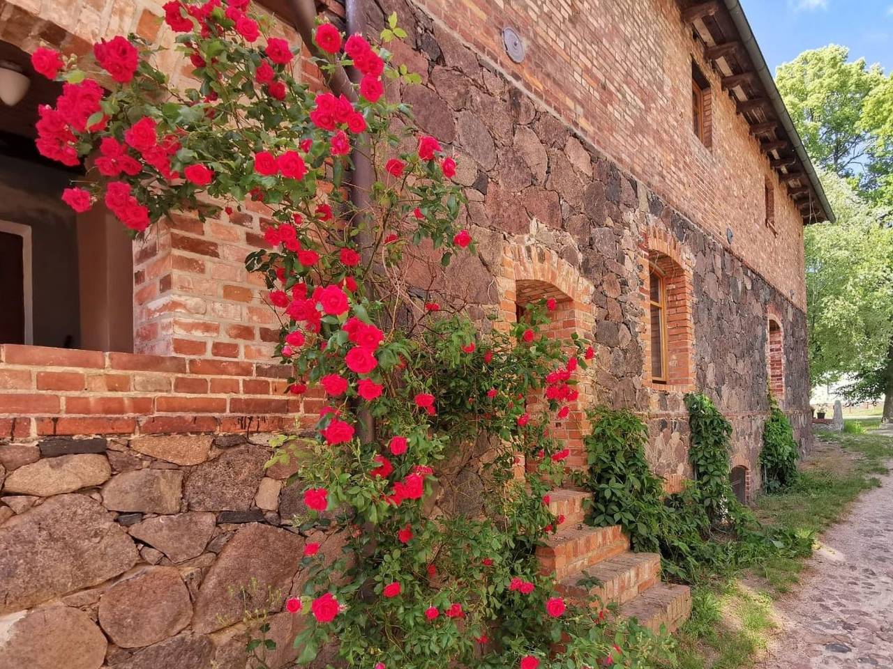 Ganze Wohnung, Wohnung in Haselberg mit Großem Garten in Wriezen, Märkische Schweiz-Oderland