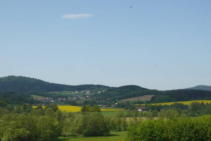 Ganze Wohnung, Ferienwohnungen Reitinger - Ferienwohnung Waldblick in Tiefenbach, Ostbayern