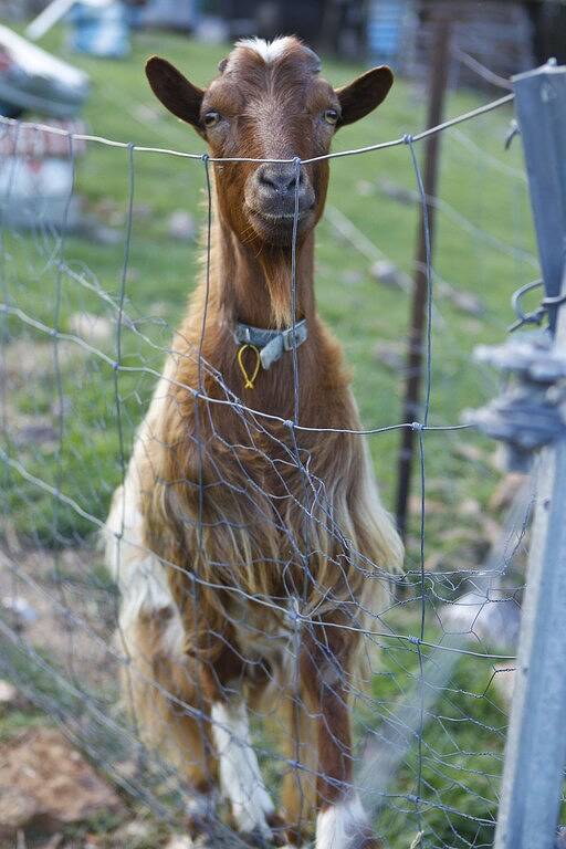 Tree House #1. Private, stone bath with amazing views of Gold Coast Hinterland in Queensland