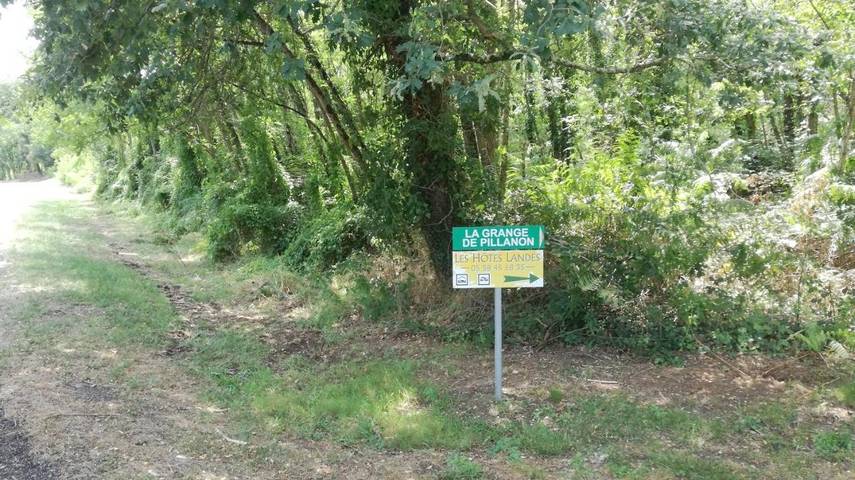 Chambre d’hôte pour 2 personnes, avec jardin ainsi que vue et piscine, animaux acceptés dans les Landes - 2