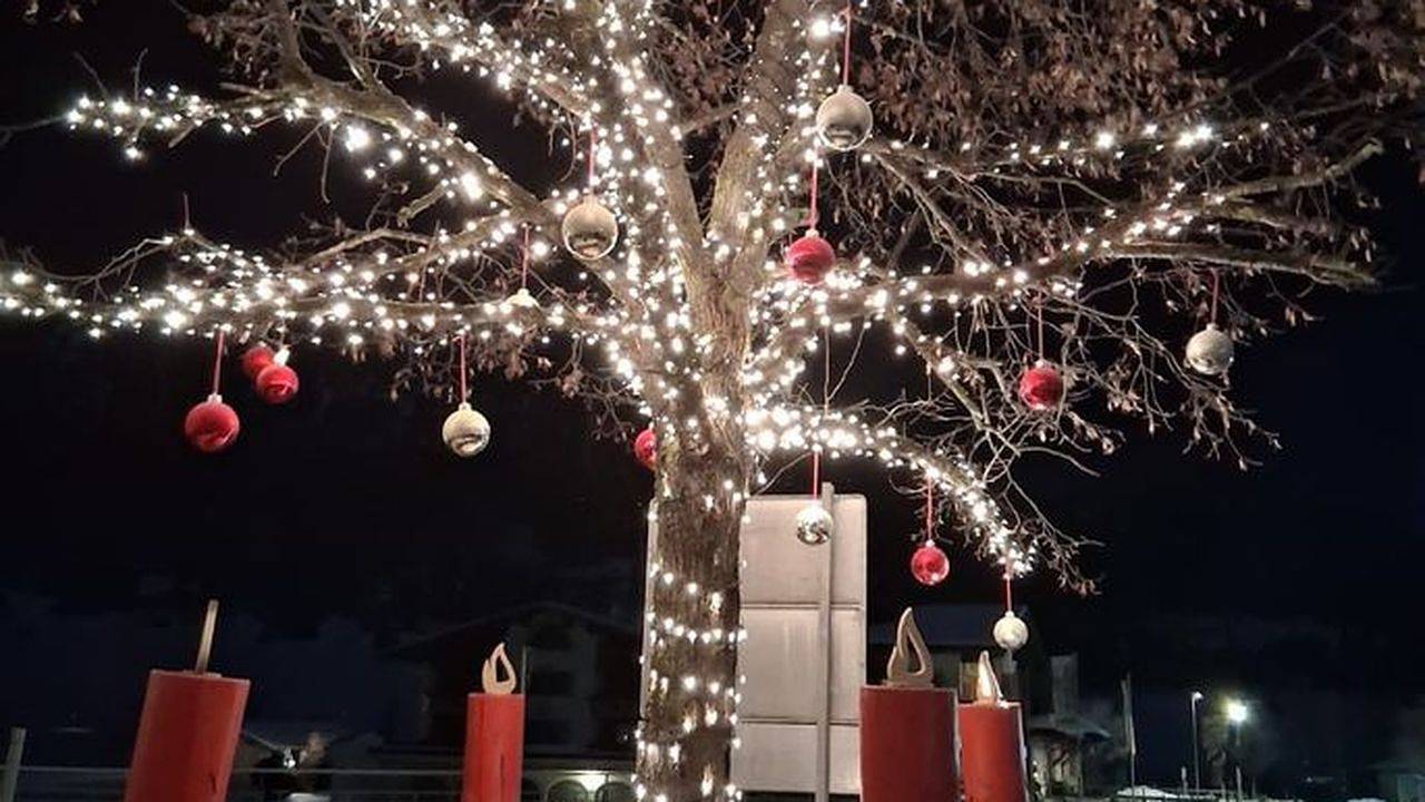 Geheel vakantieappartement, Ferienwohnung für 3 Personen (44 m²) in Tannheim in Tannheim, Allgäuer Alpen (Oostenrijk)