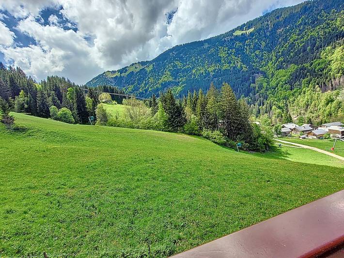 Appartement entier, Grand Cerf 62 - 6/7 personnes - Saint Jean D'Aulps - Ski au pied in Saint-Jean-d'Aulps, Les Portes du Soleil