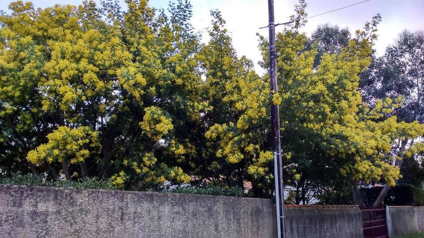 Location de vacances pour 4 personnes dans Office De Tourisme Du Chateau D Oleron - 2