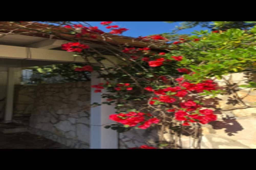 Self-contained house, nestled in a pine forest, just a few meters from a beautiful bay. in Pulsano, Gulf of Taranto