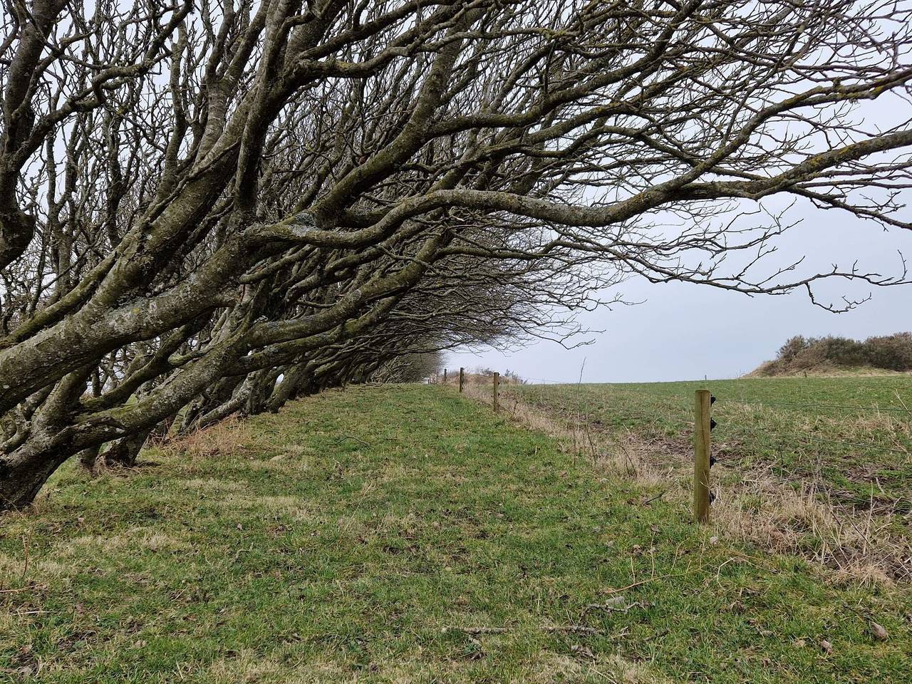 6 Personen Ferienhaus in Spøttrup in Ålbæk Strand, Limfjord in Westjütland
