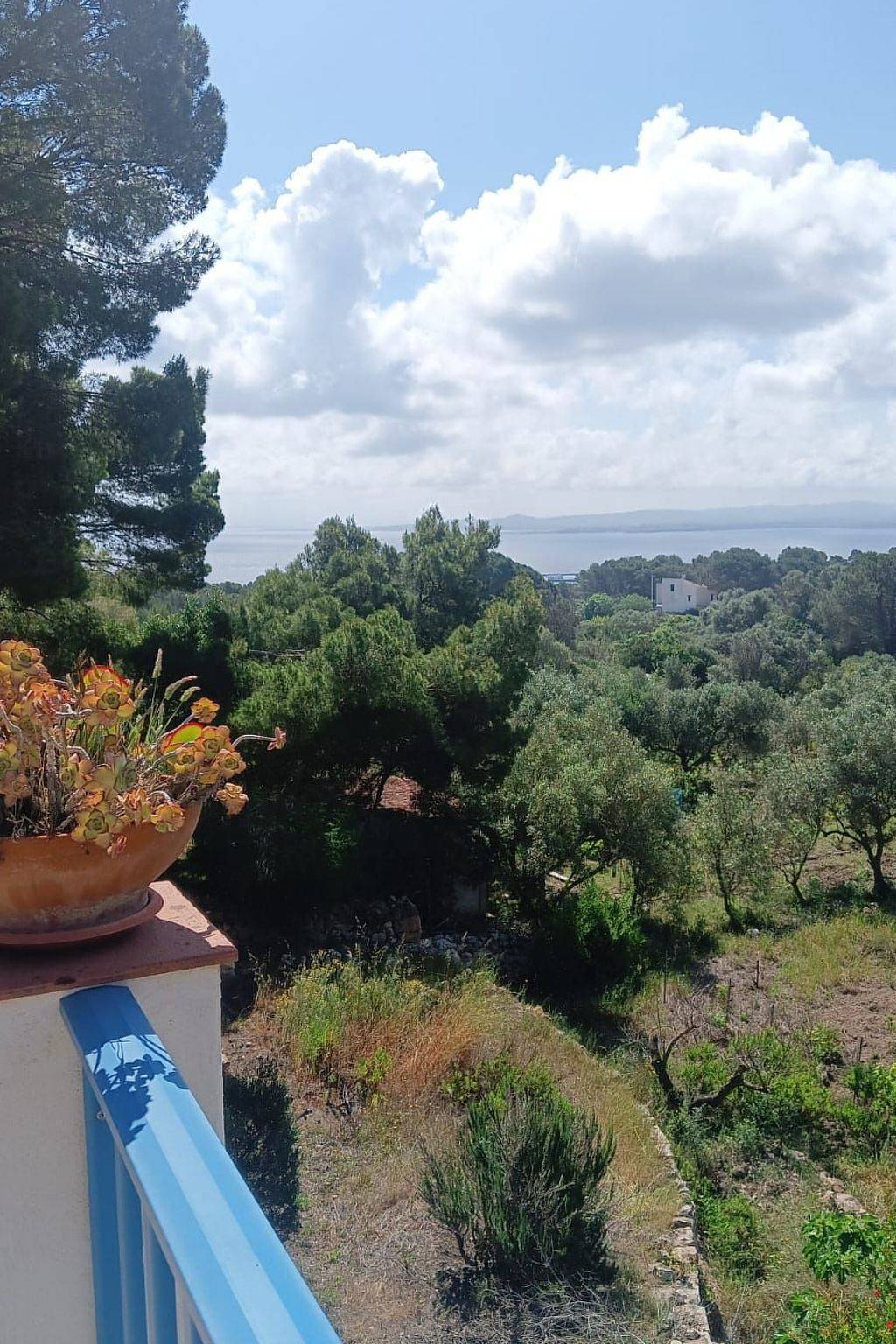 'La casa dei Nonni in Carloforte, Carbonia-Iglesias Province