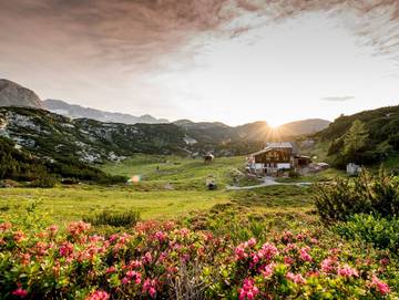 Ferienwohnung für 2 Personen, mit Garten in Dachstein Salzkammergut