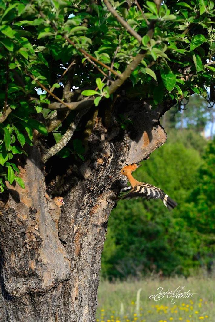 Casa rural para 2 personas, con vistas en Las Hurdes - 4