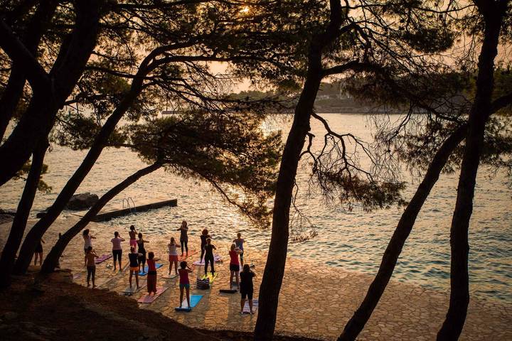 Ganze Ferienwohnung, Ferienwohnung mit Poolnutzung und Klimaanlage  in Jelsa, Hvar