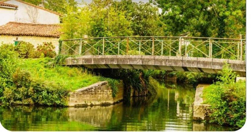 Gîte pour 7 personnes, avec terrasse à Le Bourdet - 4