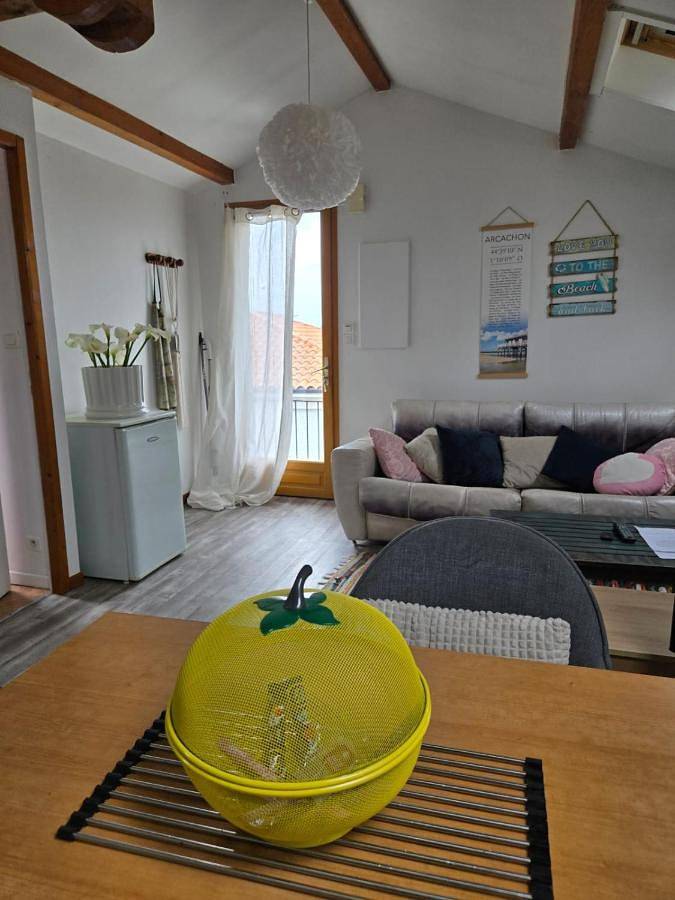 Location de vacances pour 2 personnes, avec jardin et vue dans Lac de Biscarrosse - 4