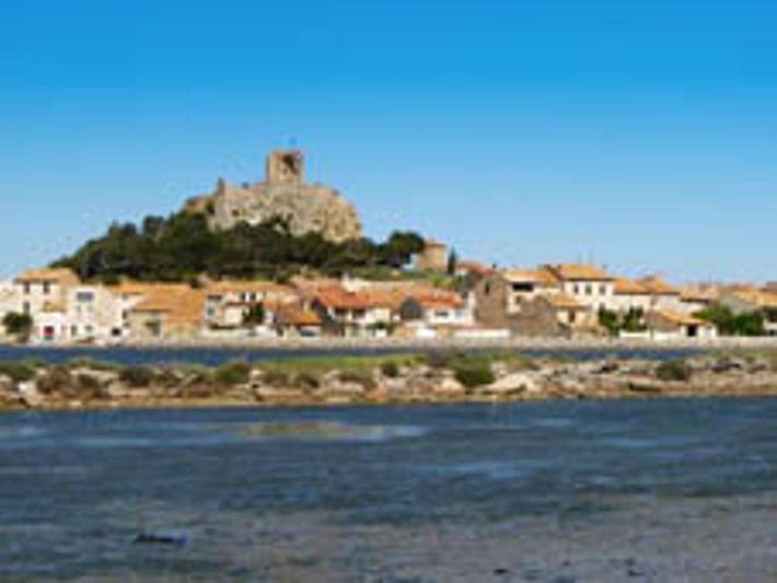 Gîte für 4 Personen, mit Sauna, mit Haustier in Les Ayguades - 2