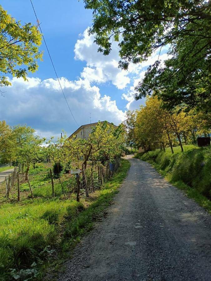 Appartamento intero, Agriturismo al Monte in Bagno di Romagna, Provincia di Forlì-Cesena