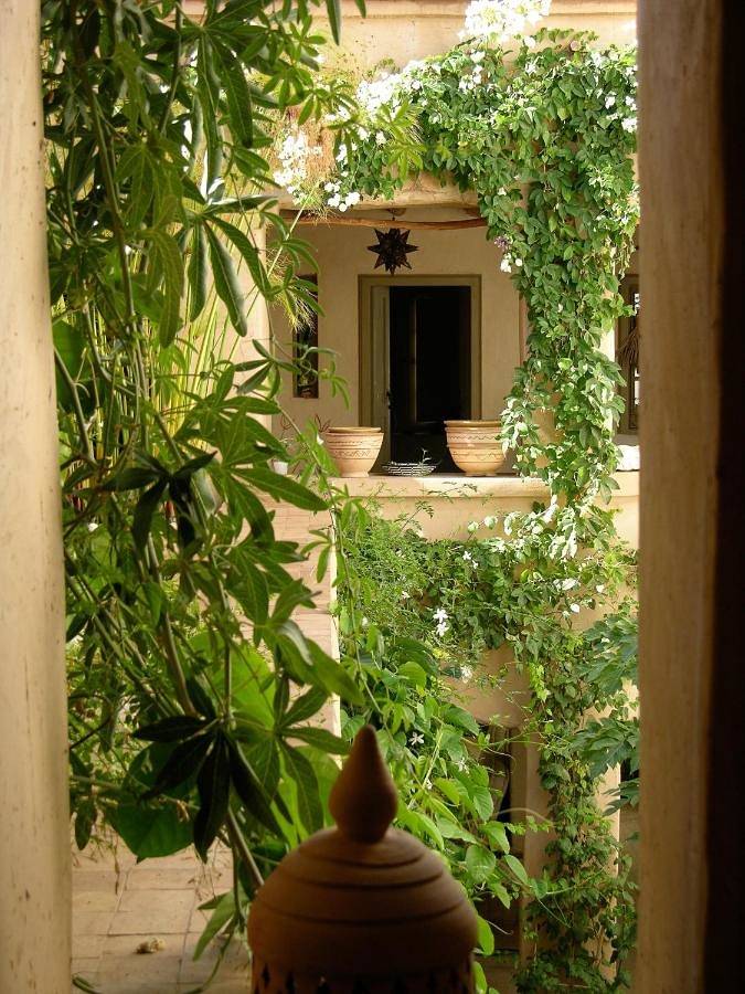 Maison d’hôte pour 2 personnes, avec jardin, animaux acceptés - 1