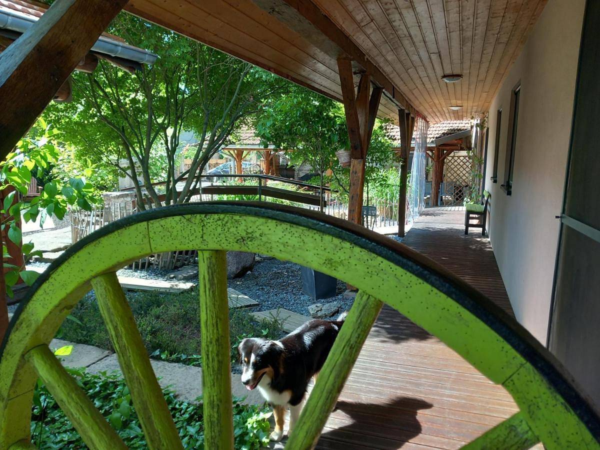 Hagebuche in Brauweiler (Moselle), Sarrebourg