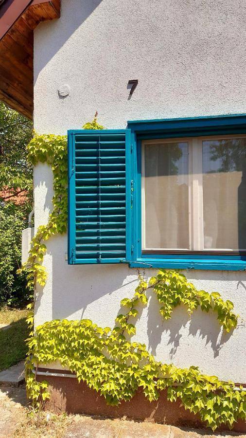 Ferienhaus für 9 Personen, mit Garten und Seeblick sowie Ausblick, mit Haustier in Westtransdanubien - 2