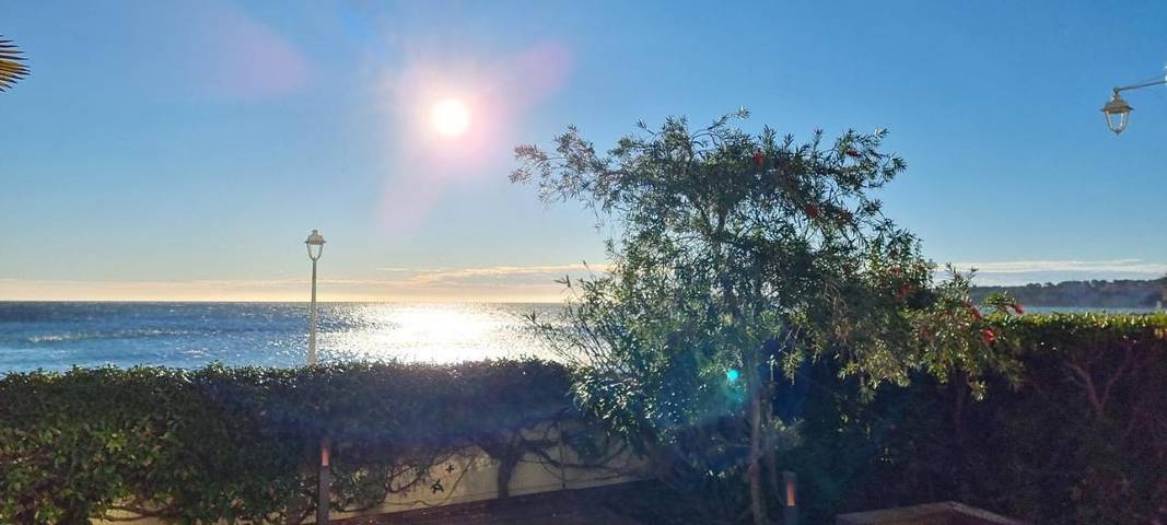 Gîte pour 4 personnes, avec jardin et vue dans Plage du Palm Beach - 3