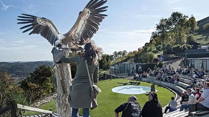 Ferienwohnung für 4 Personen in Südoststeiermark, Riegersburg, Bild 3